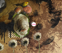 企业级应用支持的云呼试用3分钟